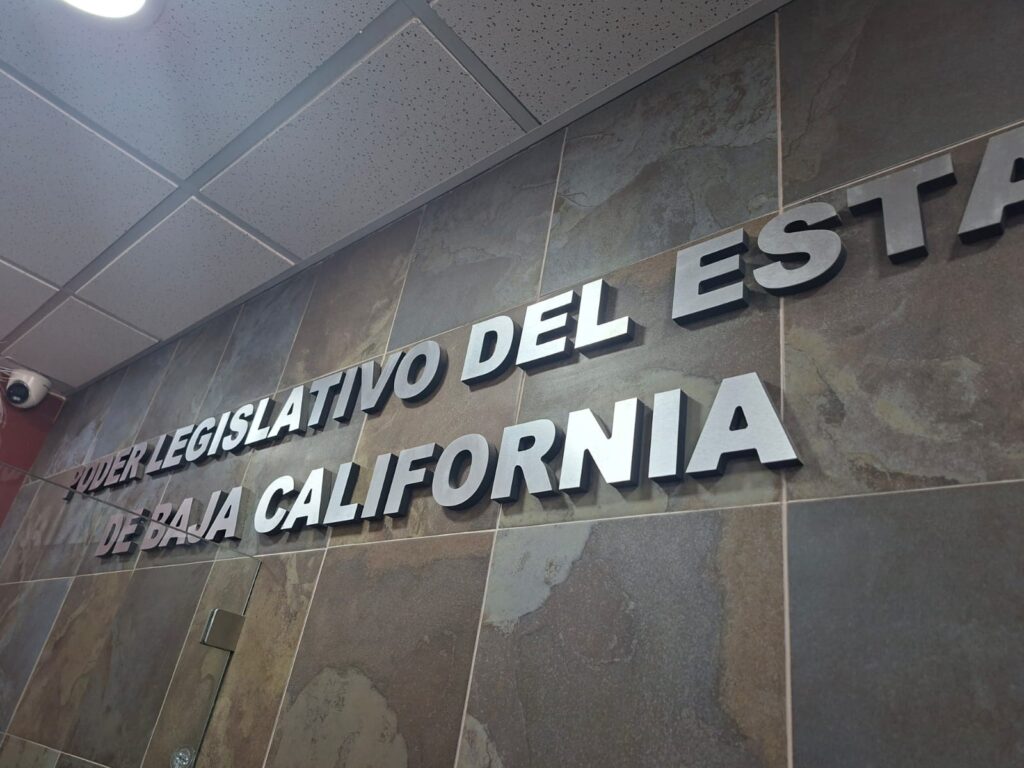 WhatsApp Image 2026-02-20 at 12.12.39 PM (1)