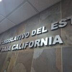 WhatsApp Image 2026-02-20 at 12.12.39 PM (1)